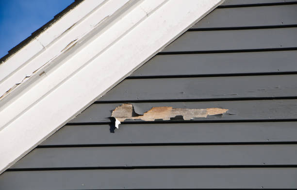 Best Shed Removal  in Eufaula, AL